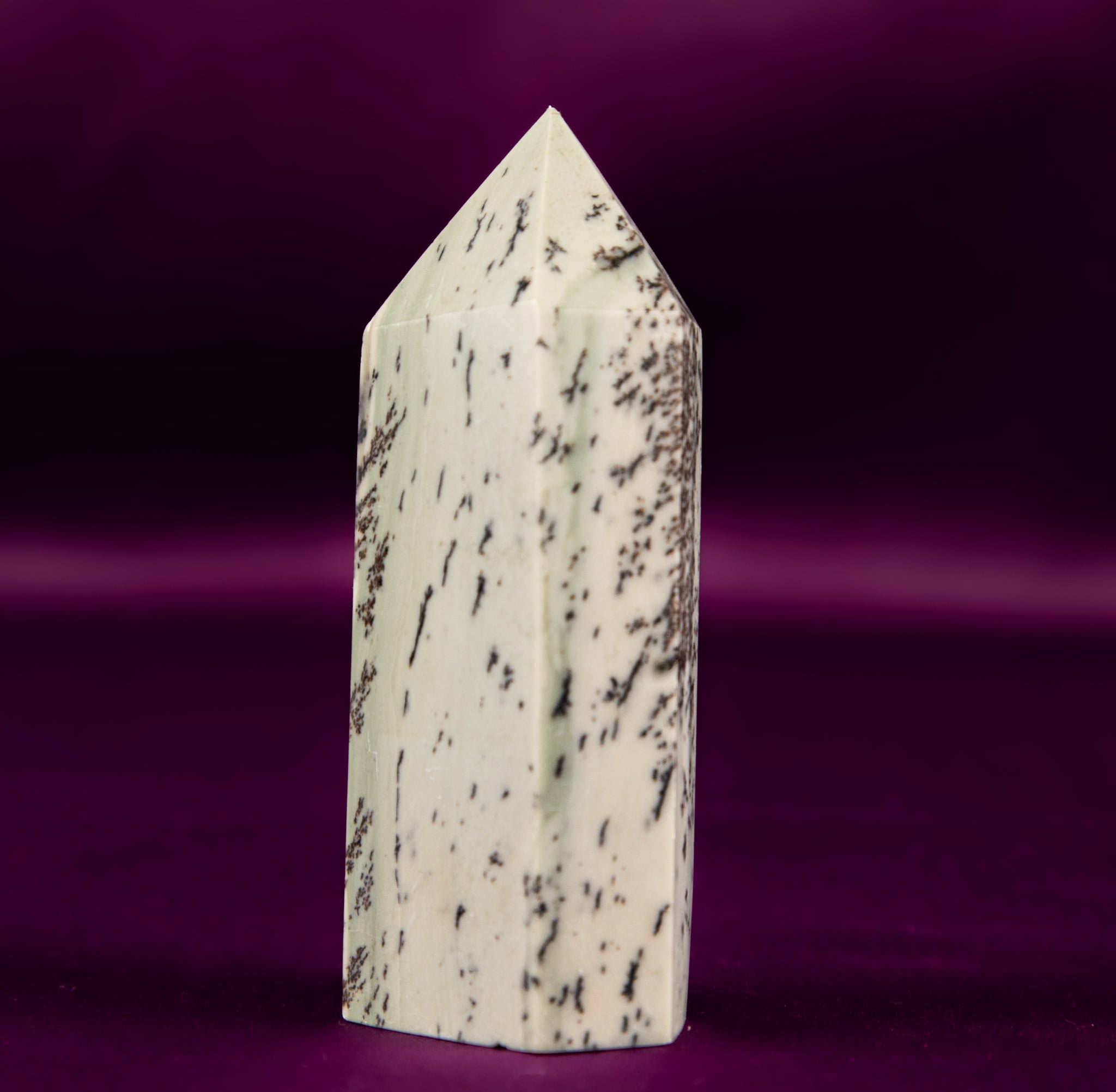 Dendritic Agate Point